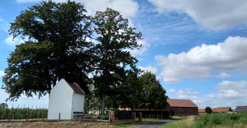 speurtocht gezinsbond elen