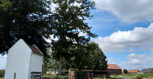 speurtocht gezinsbond elen